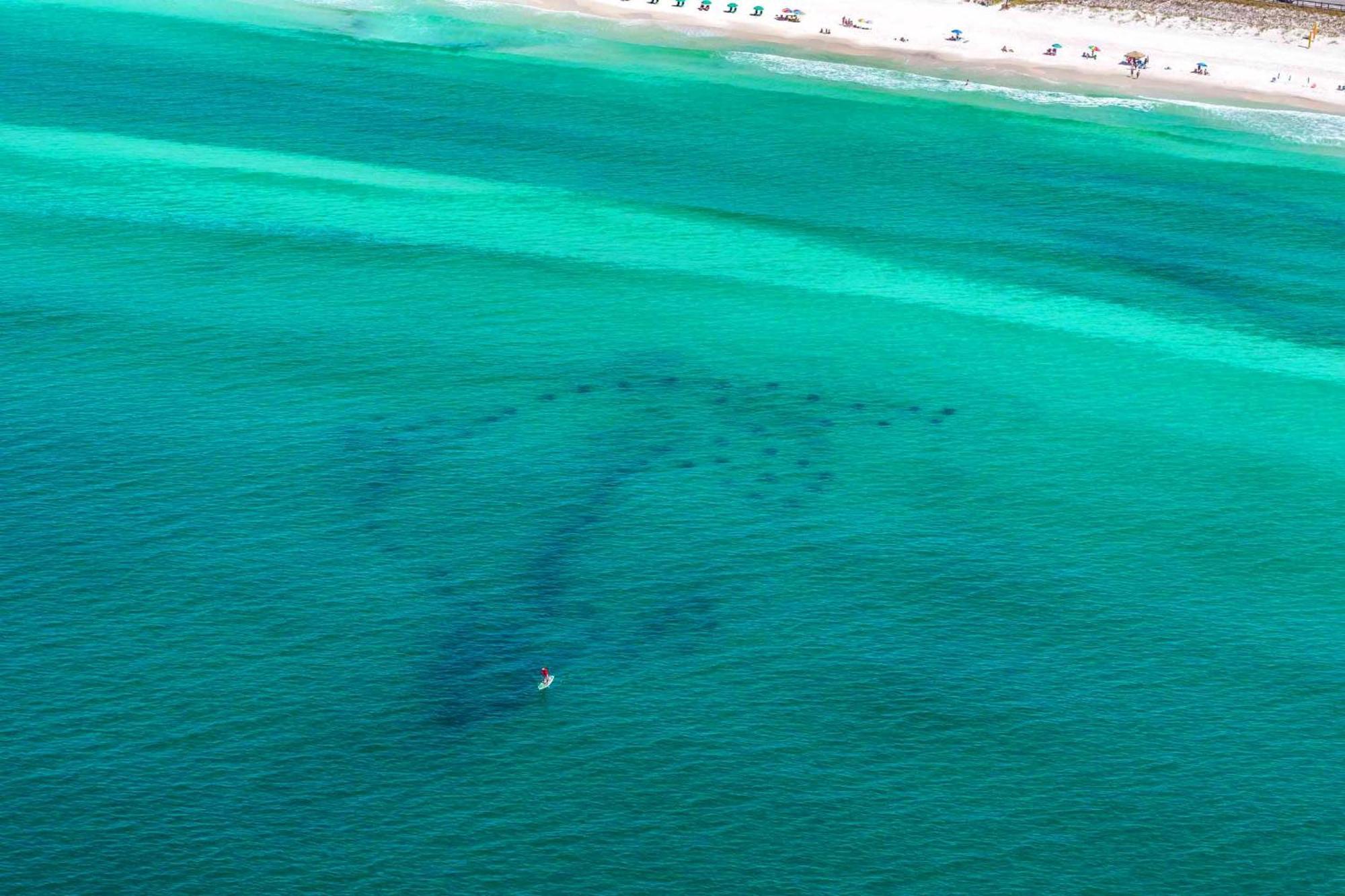 Stay Anchored Destin Exterior foto